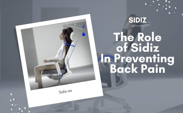 The Role of Sidiz Chairs in Preventing Back Pain